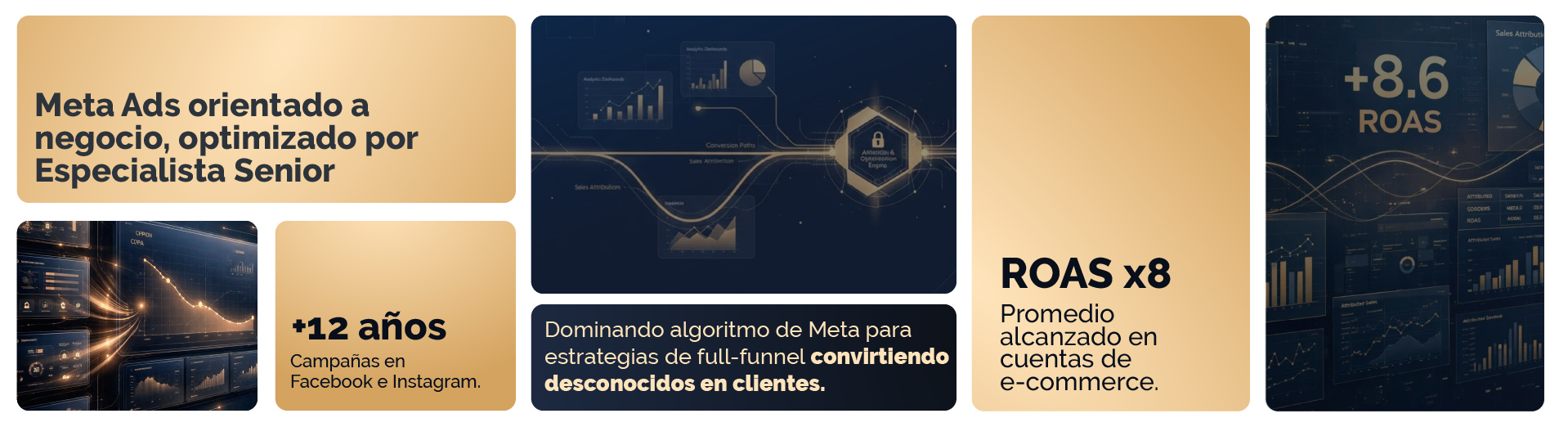 Mesa de trabajo 1 copia
