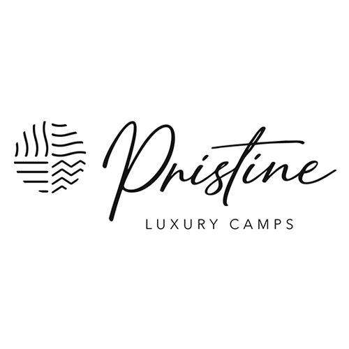 servicio de performance marketing campanas google ads campanas meta ads publicidad online para glamping